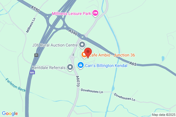 Eighteen Eighteen Auctioneers