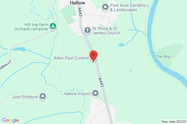 Allen Pest Control