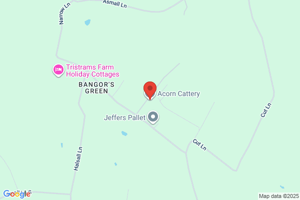 Acorn Cattery