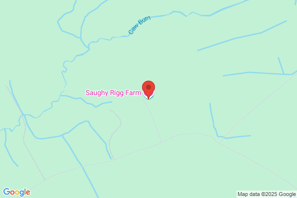 Saughy Rigg Farm