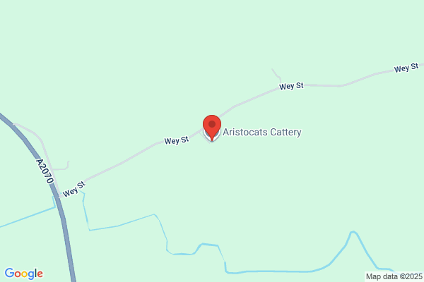 Aristocats Cattery