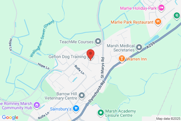 Gefion Dog Training and Conifer Lodge Kennels