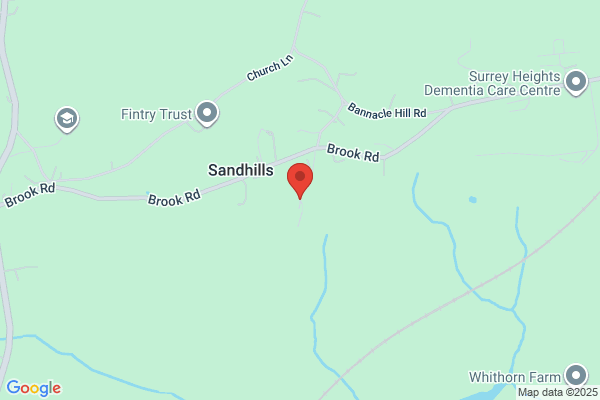 Lockwood Donkey Sanctuary