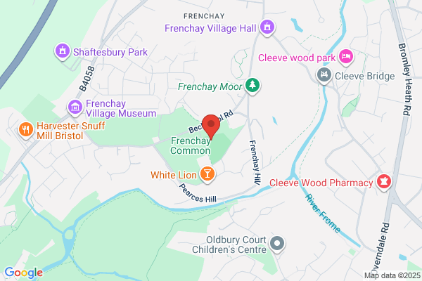 Frenchay Park