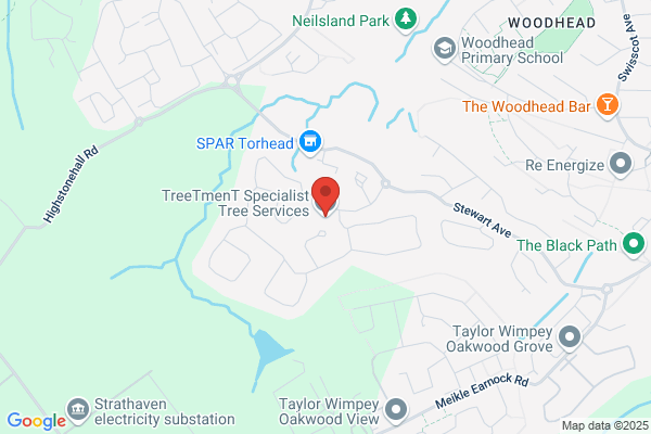 Tree:Tment Tree & Land Services Ltd