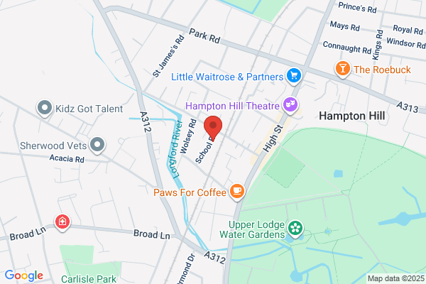 Hampton & Hampton Hill Voluntary Care Group
