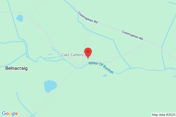 Catz Cattery