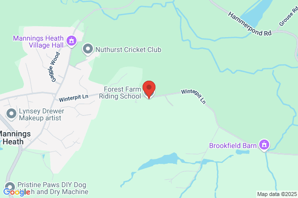 Forest Farm Riding School