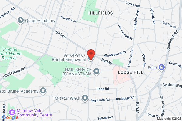 Bristol Car Mart