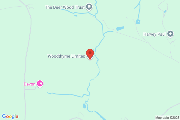 The Woodenstone