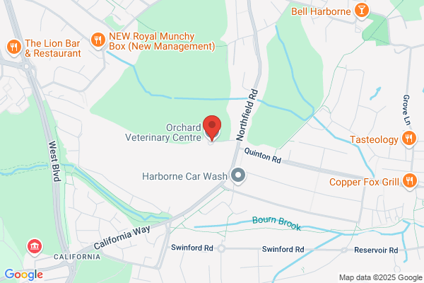 The Orchard Veterinary Centre