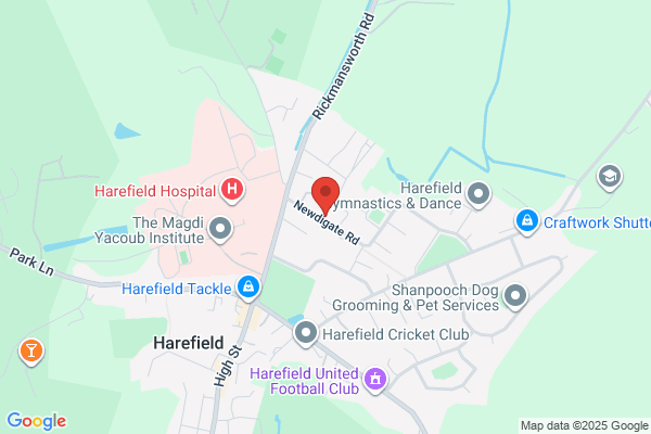 Out of the Ground Ltd | Arborist and Tree Surgeon