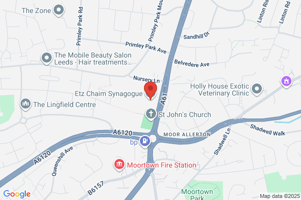 Etz Chaim Synagogues