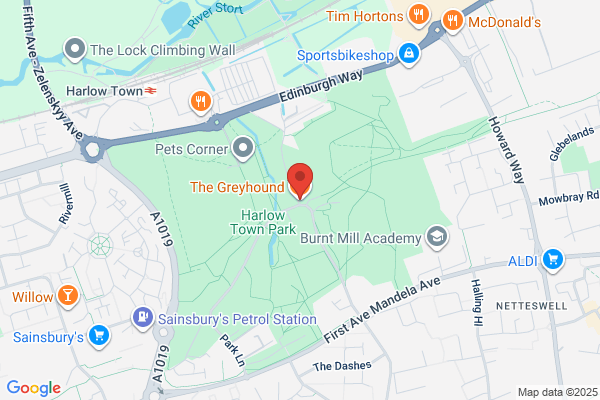The Greyhound
