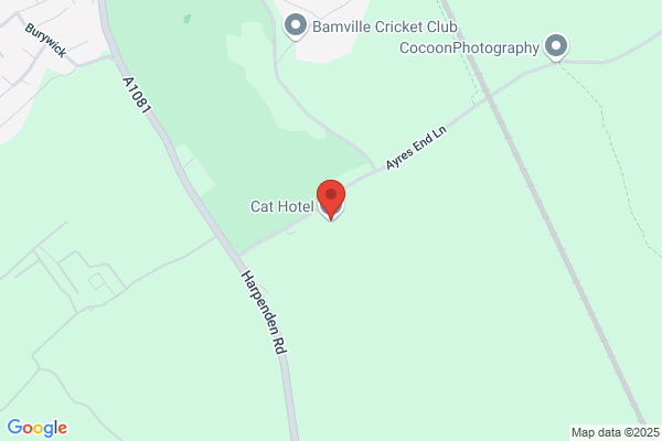 Harpenden Cat Hotel