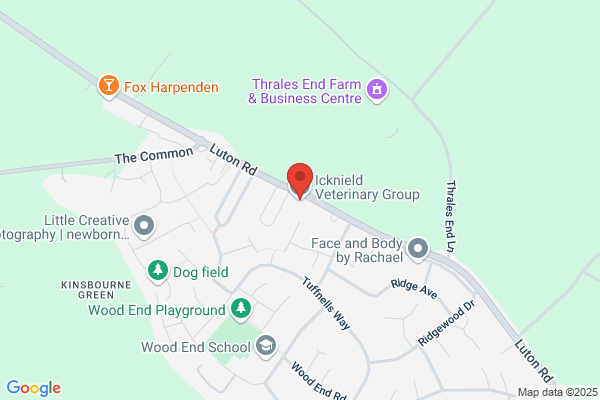Icknield Veterinary Group