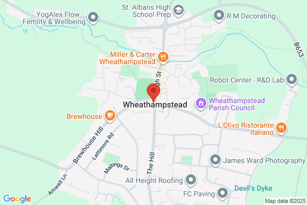 The Swan