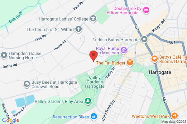 Red Zebra Design