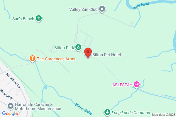 The Bilton Hilton Pet Hotel