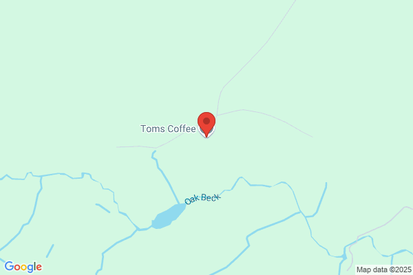 Tom's Coffee