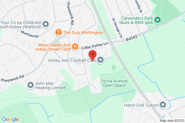 Sir James Altham 3G Pitch