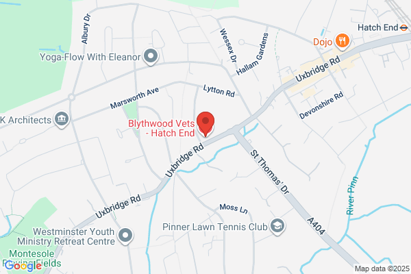 Blythwood Veterinary Group