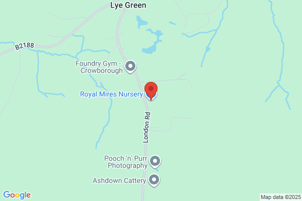 Royal Mires Nursery