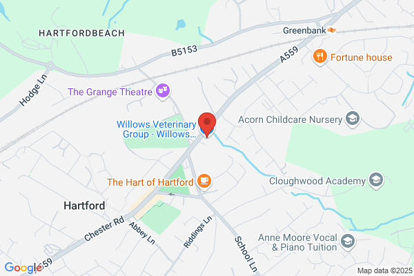 Willows Veterinary Group - Willows Veterinary Hospital