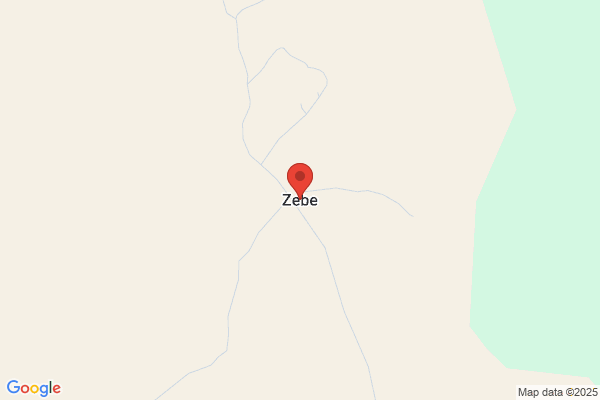 Zebou