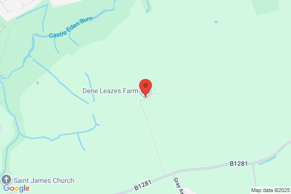 Dene Leazes Farm