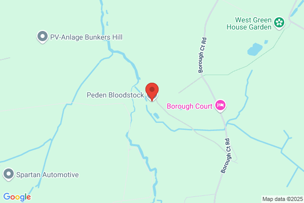 Peden Bloodstock Ltd