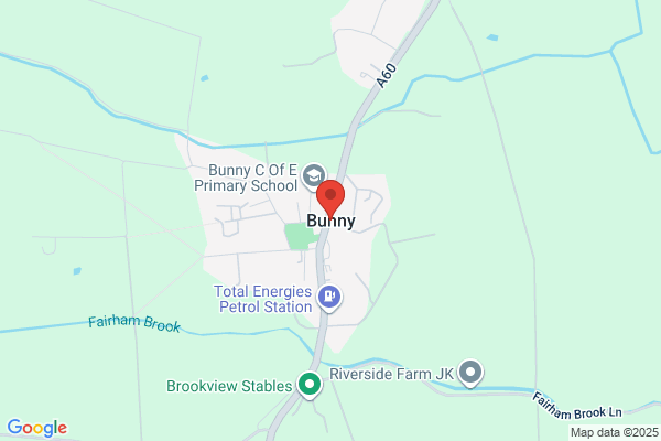 Bunnies