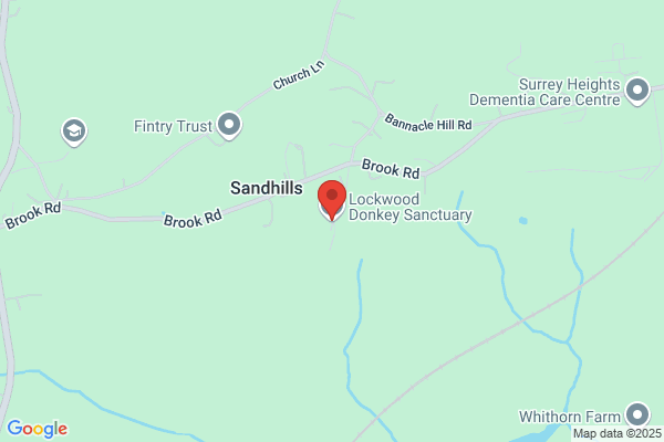 Lockwood Donkey Sanctuary