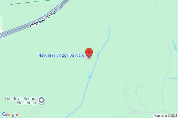 Playdates Doggy Daycare