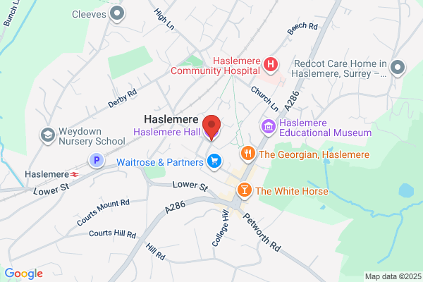 Haslemere Hall Cinema
