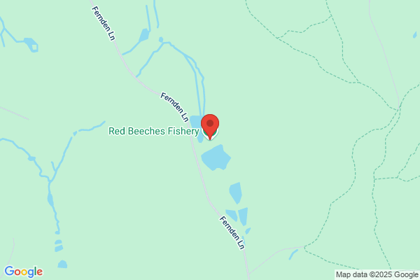 Kingfisher Fisheries