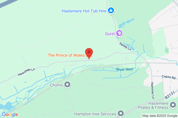 The Prince Of Wales