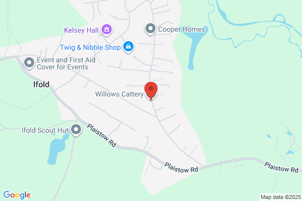 The Willows Cattery