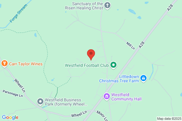Westfield Trees