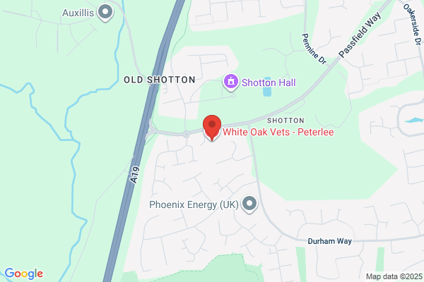 White Lion Vets - South Hetton