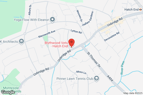 Blythwood Vets