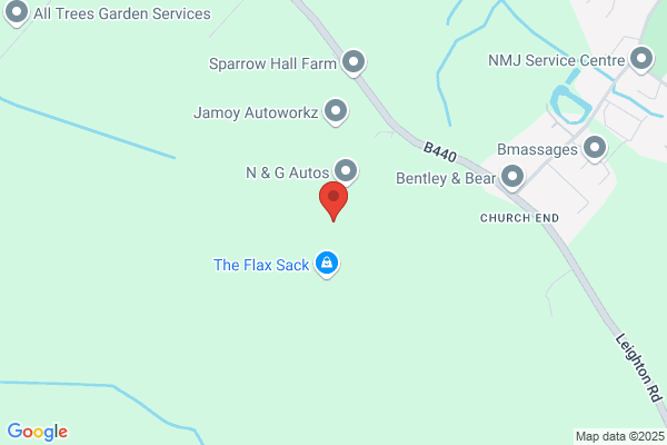 Motorhead Engine Cleaning