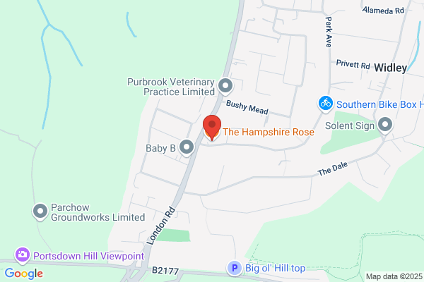The Hampshire Rose