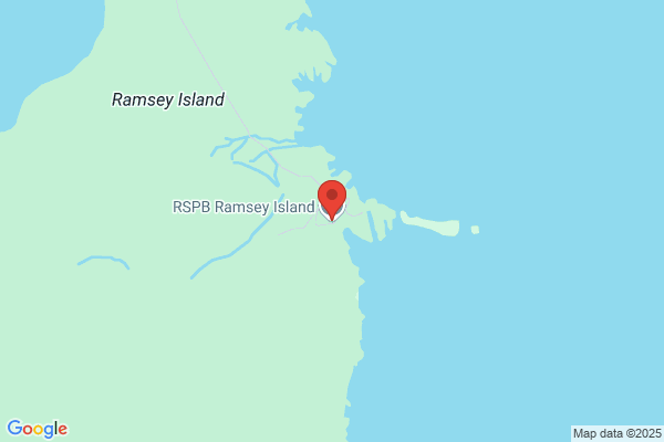 Ramsey Island