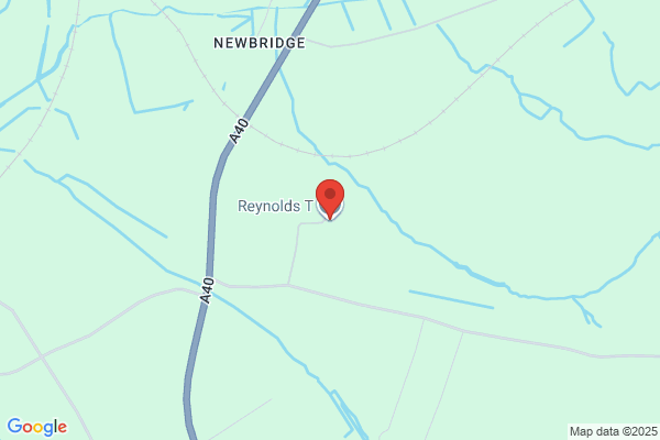 T Reynolds