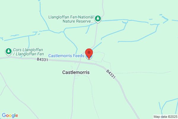 Castle Morris Feed