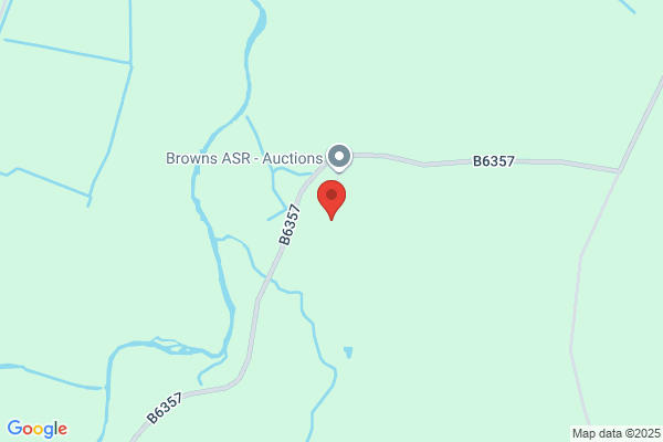 Storage Express Hawick