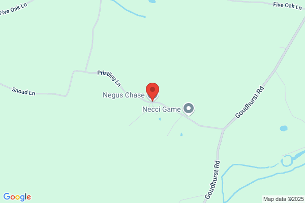 Negus Chase Ltd