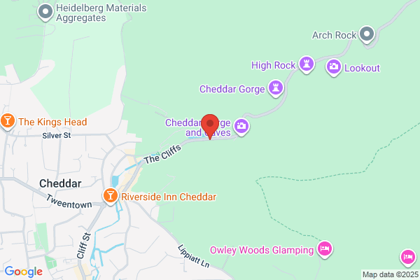 The Gorge Bear Co