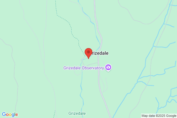 Go Ape Grizedale
